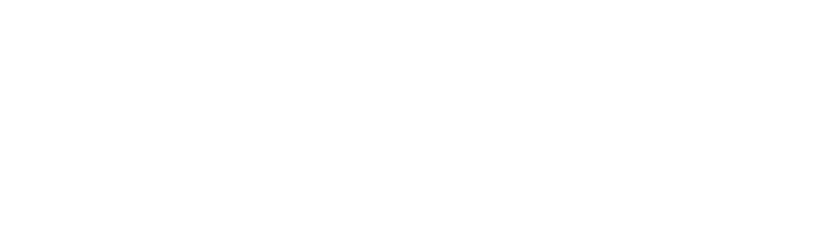 Aleel Consulting